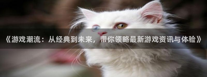 赢咖娱乐官方登录网址：《游戏潮流：从经典到未来，带你领略最新