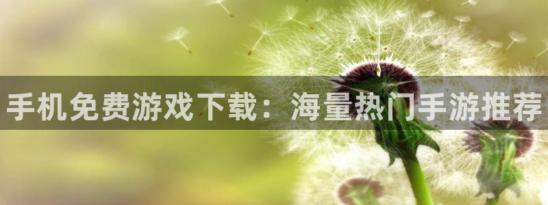 赢咖娱乐平台负责人：手机免费游戏下载：海量热门手游推荐