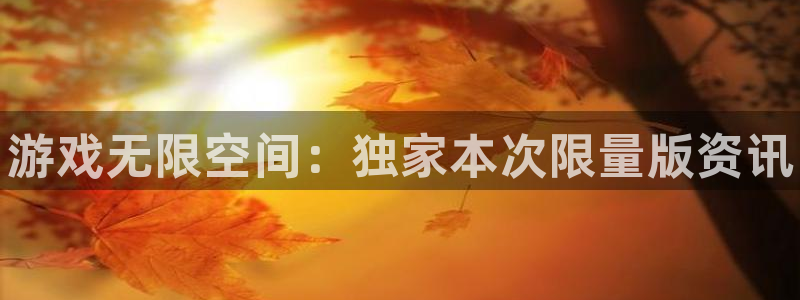 赢咖娱乐登陆地址：游戏无限空间：独家本次限量版资讯