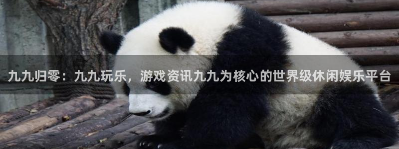 赢咖娱乐注册网站：九九归零：九九玩乐，游戏资讯九九为核心的世