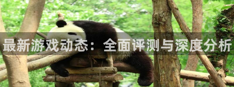 赢咖娱乐登陆：最新游戏动态：全面评测与深度分析