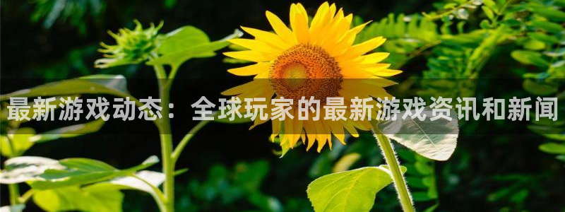 赢咖娱乐官方登录网址：最新游戏动态：全球玩家的最新游戏资讯和