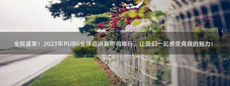 赢咖娱乐app下载：全民盛事！2023年PUBG全球总决赛即
