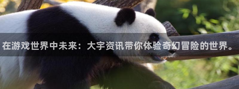 赢咖娱乐娱乐是真的吗：在游戏世界中未来：大宇资讯带你体验奇幻