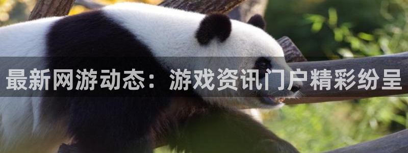 赢咖娱乐登陆地址：最新网游动态：游戏资讯门户精彩纷呈