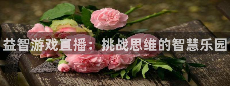 赢咖娱乐登录：益智游戏直播：挑战思维的智慧乐园