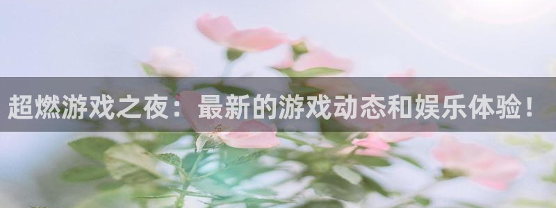 手机版赢咖娱乐客户端下载：超燃游戏之夜：最新的游戏动态和娱乐