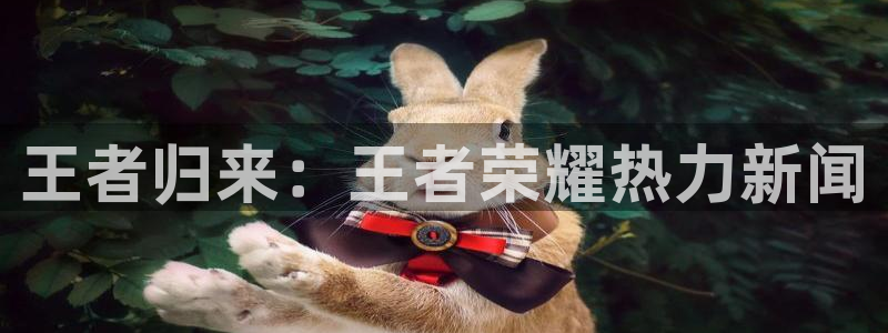 赢咖娱乐2登录：王者归来：王者荣耀热力新闻