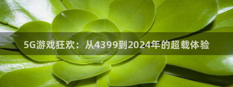 赢咖娱乐2登录：5G游戏狂欢：从4399到2024年的超载体